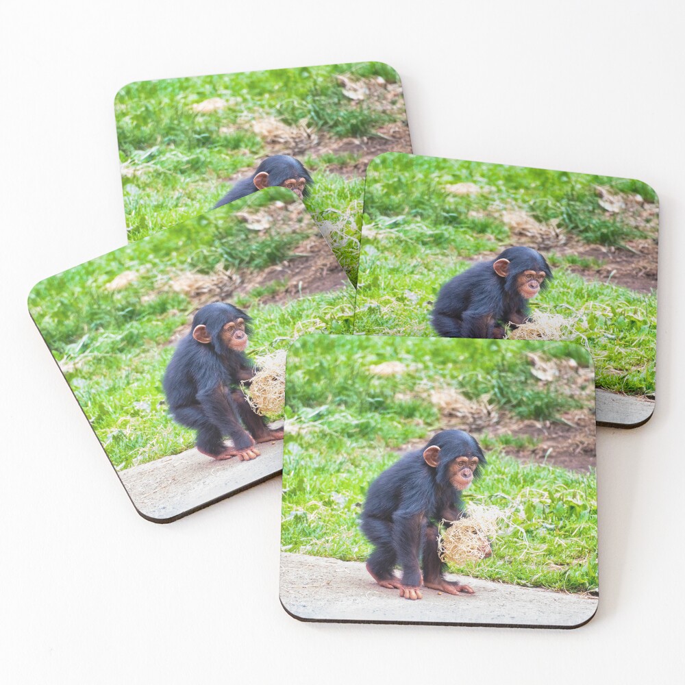 Item preview, Coasters (Set of 4) designed and sold by Graphics By Craig.