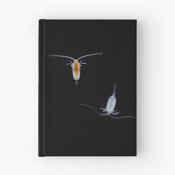 Item preview, Copepod Duet designed and sold by MicrocosmFilm.