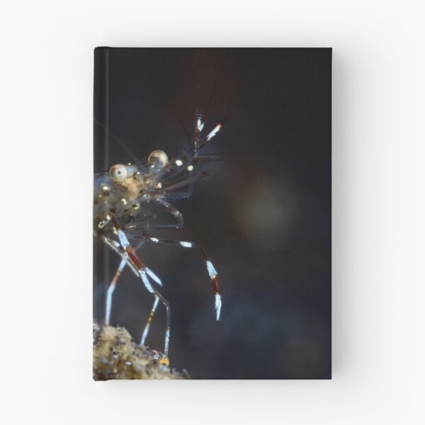 Item preview, Transparency designed and sold by Natalia Pryanishnikova.