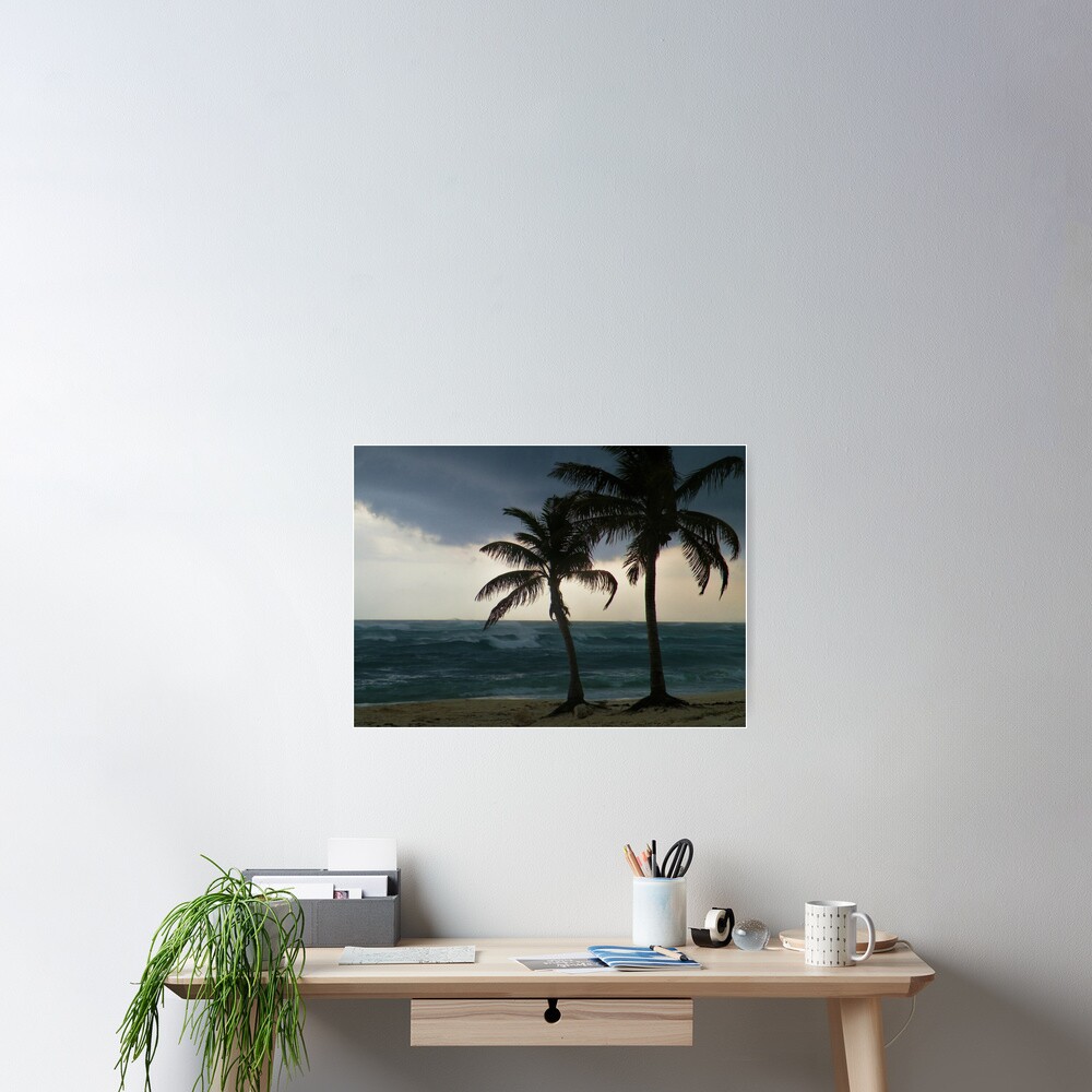 Vista previa del artículo con la obra «Póster», diseñado y vendido por Barnbk02.