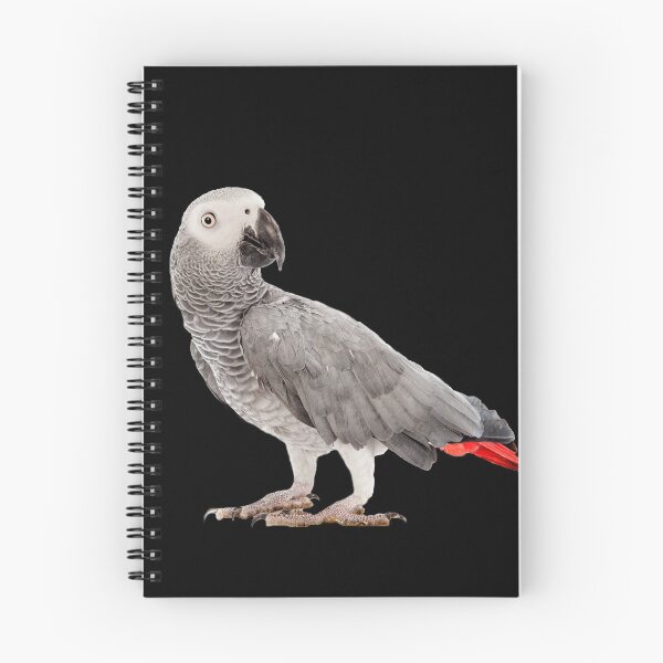 Item preview, Portrait of a African Grey Parrot Bird designed and sold by Sven19864.