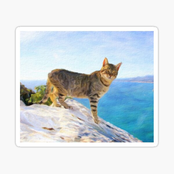 Item preview, Gato griego marino designed and sold by Linda Roisum.