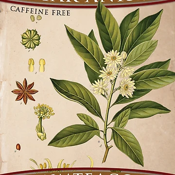 Artwork thumbnail, Star Anise - Organic by NMTeaCo