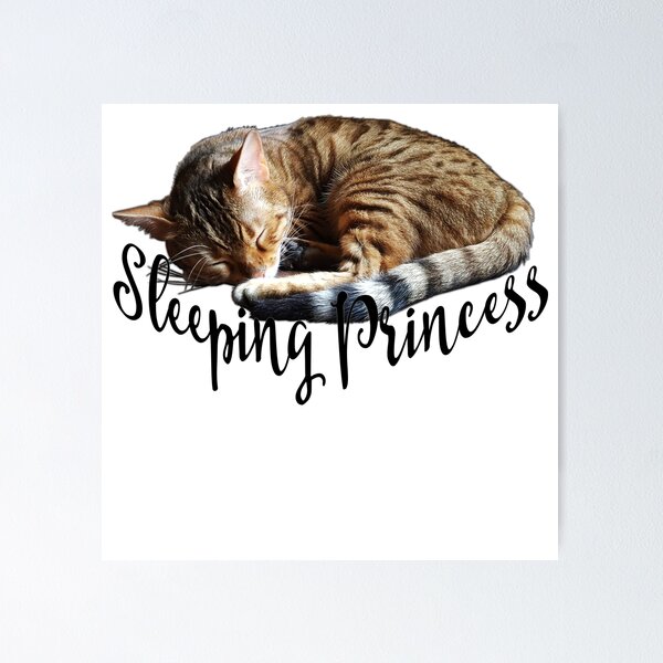 Artikelvorschau, Sleeping Princess entworfen und verkauft von PCollection.