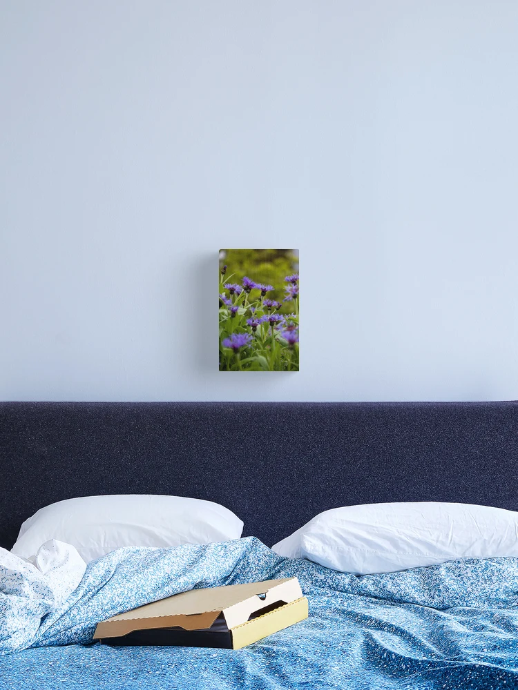 Thumbnail 2 of 3, Canvas Print, centaurea designed and sold by codaimages.