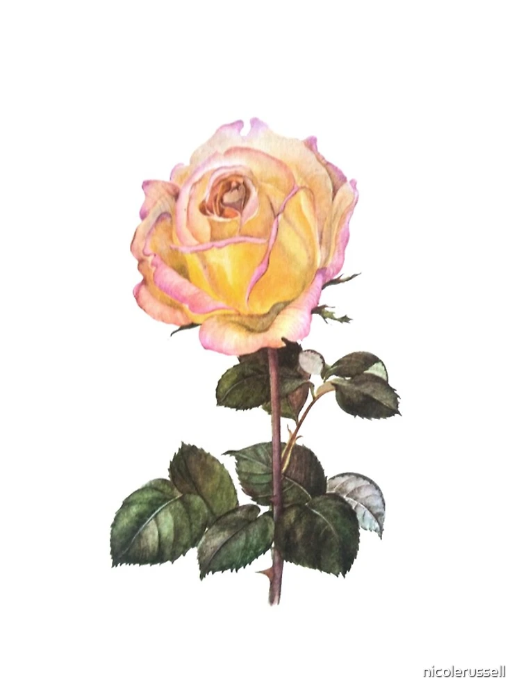 Thumbnail 5 of 5, iPhone Case, rose designed and sold by nicolerussell.
