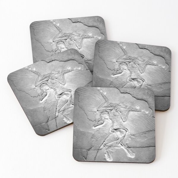 Item preview, Archaeopteryx fossil Berlin specimen feathered dinosaur paleontologist gift designed and sold by Opalaeo.