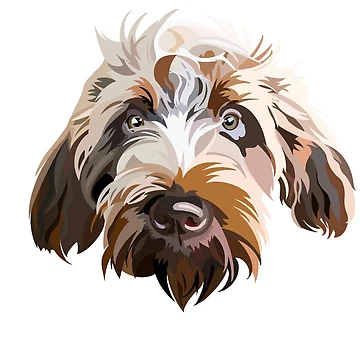 Artwork thumbnail, A Dog Named Hazel by Cooperjcoop