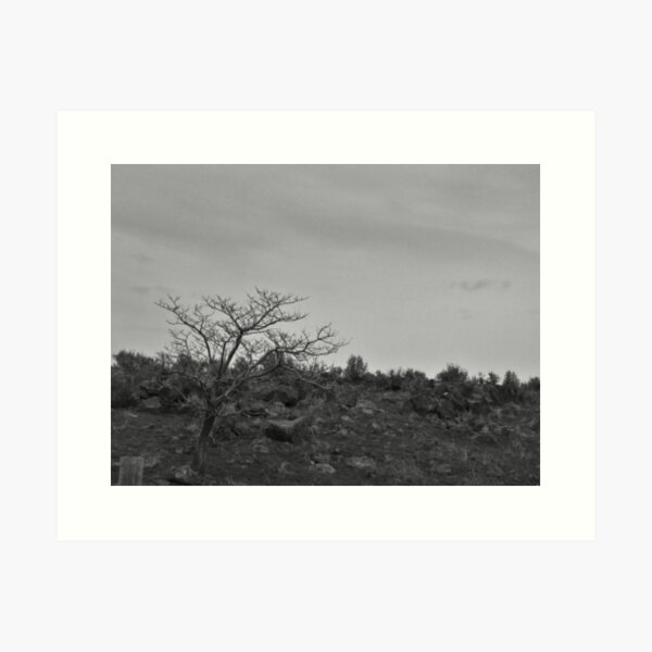 Aperçu de l'œuvre Skeleton créée et vendue par Diane Arndt.