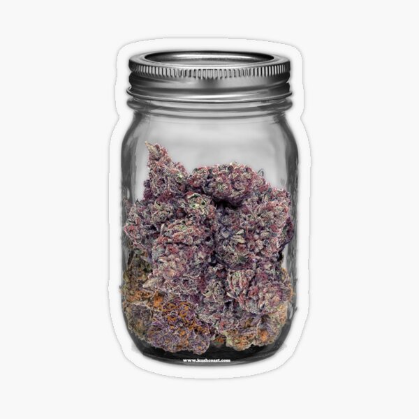 Aperçu de l'œuvre Bocal à cannabis Grape Goodness créée et vendue par kushcoast.