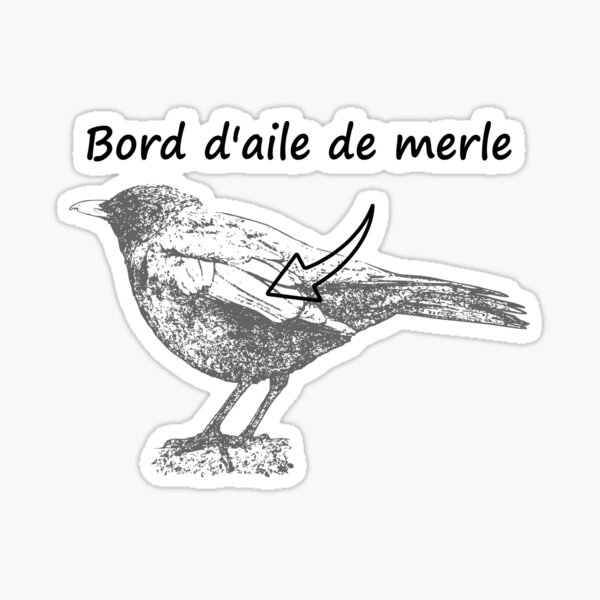 Aperçu de l'œuvre Bord d'aile de merle - Bordel de merde créée et vendue par f1006.