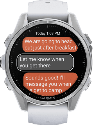 Garmin Fenix 8 Zilver/Wit 43mm