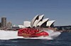 Jet boat on sydney harbour