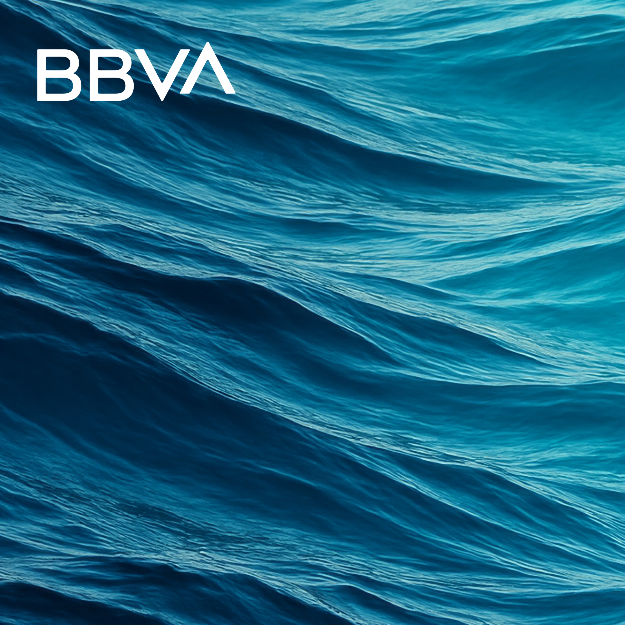 BBVA မှ အထူးဖော်ပြထားသော ကတ်ပုံ။