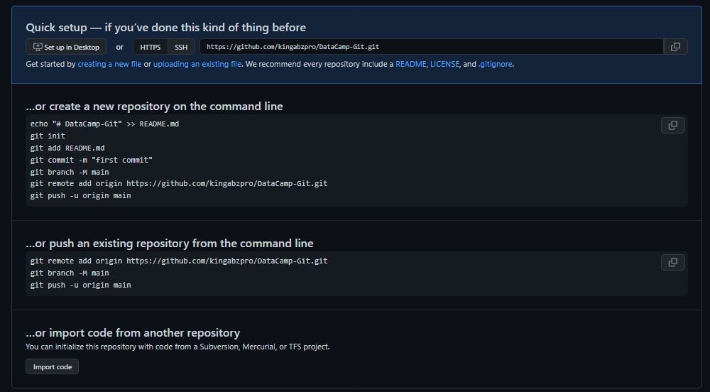 GitHub Clone
