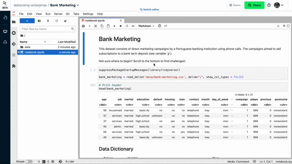 The DataCamp Notebook Editor