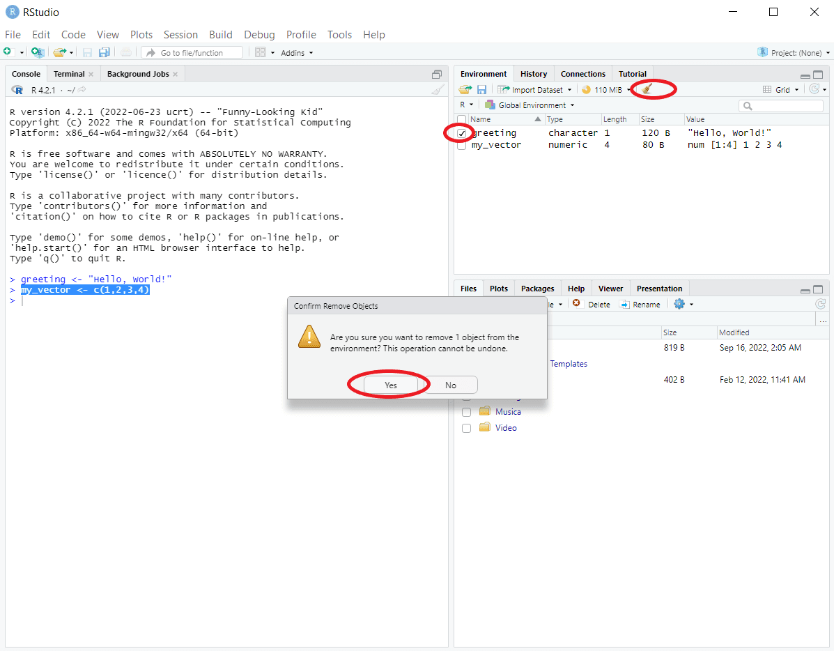 RStudio Broom