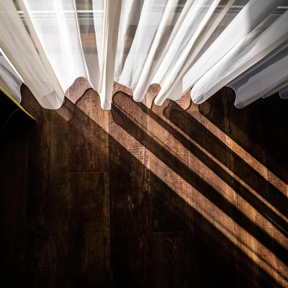 Boshotel - Vlodrop in Vlodrop