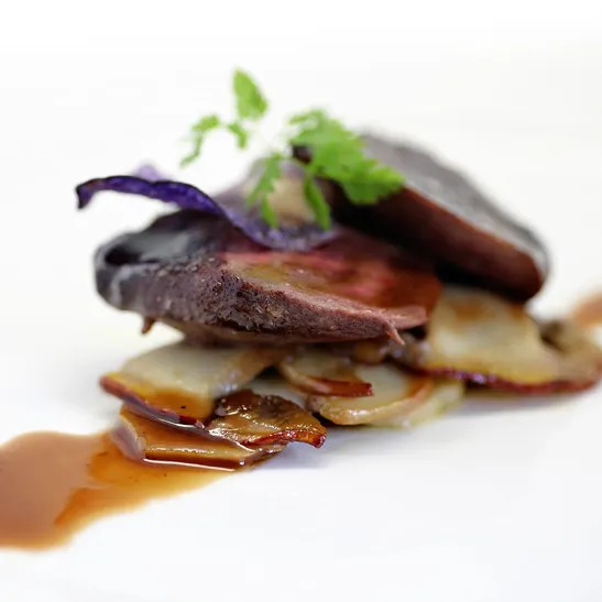 Wellness Hotel & Restaurant Caracol Terschelling-West  in Terschelling