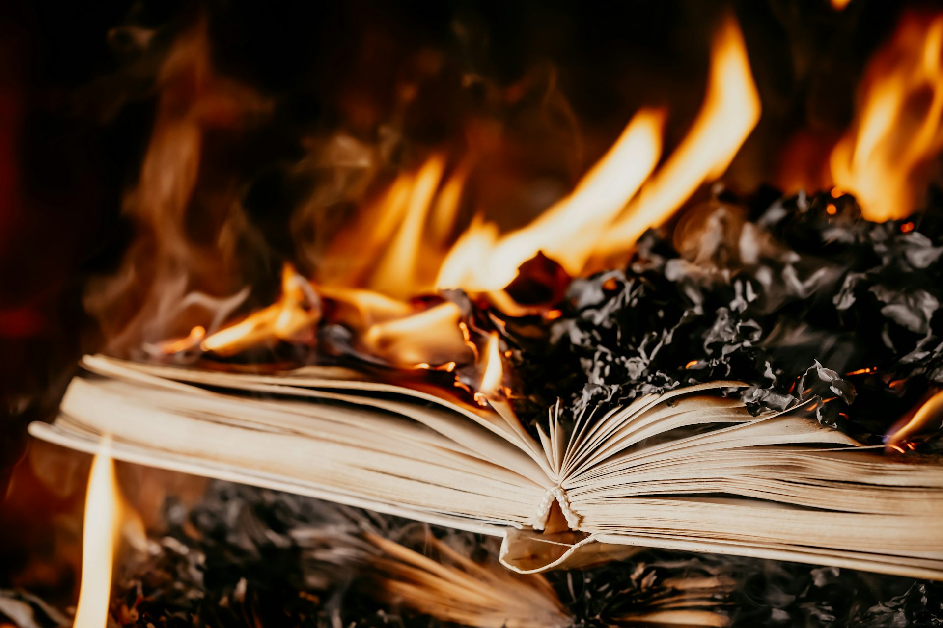 Image of book with charred pages as a fire burns in background.