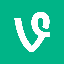 Was ist Vine Coin(VINE)