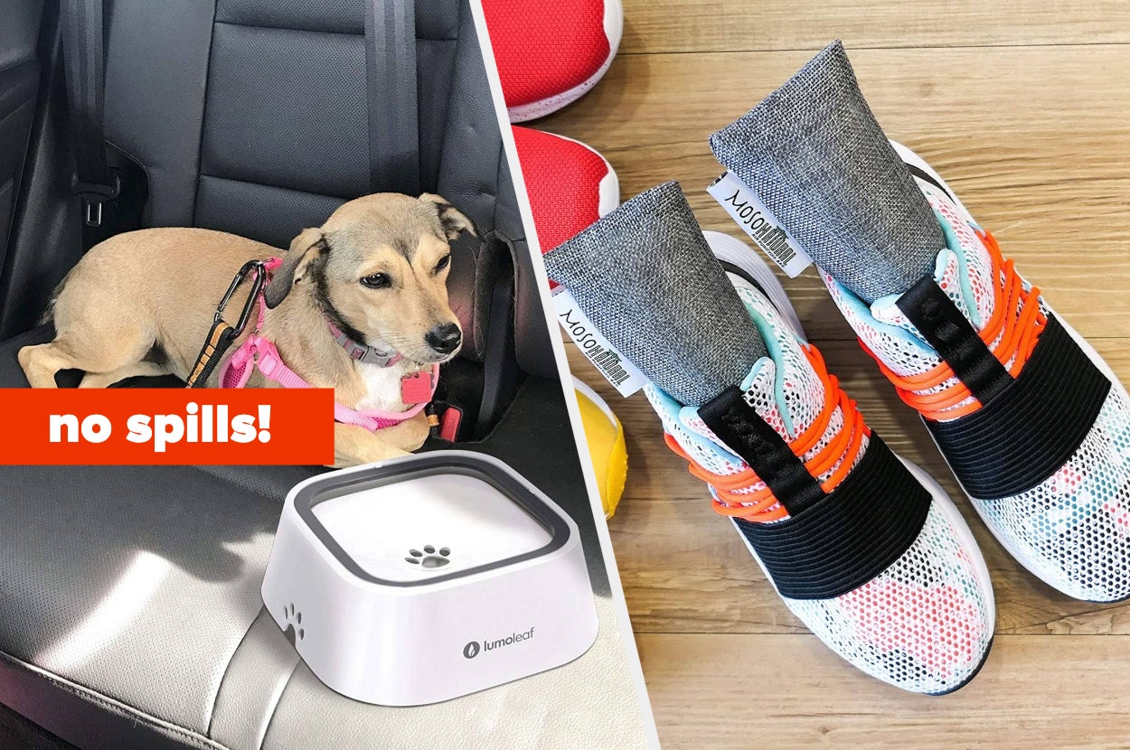 A dog laying on a car seat with a no-spill water bowl in front of it and a pair of shoes with deodorizers in them