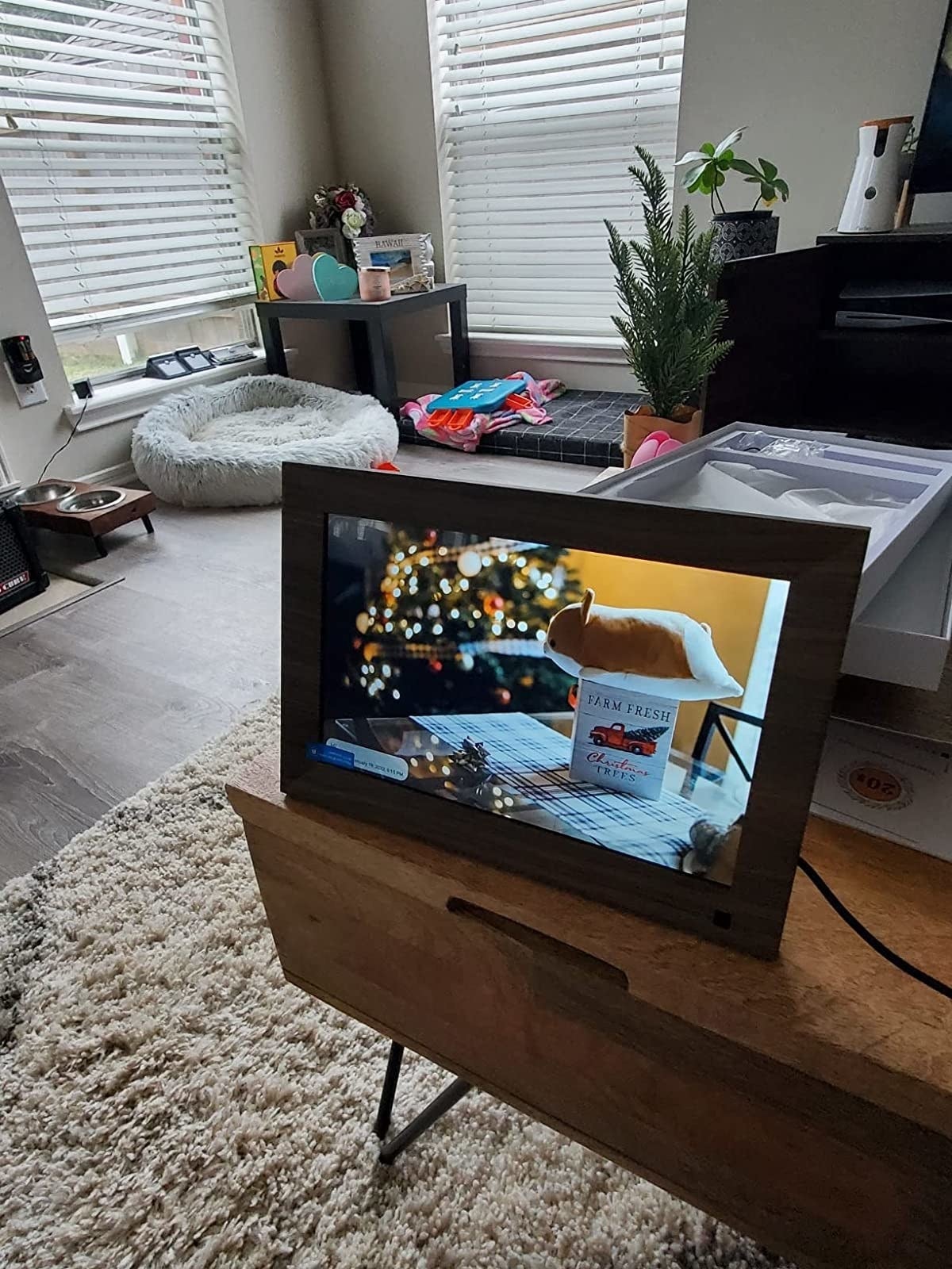 the faux-wood digital frame displaying holiday photo