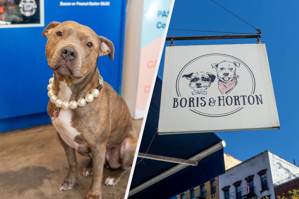 Dog wearing a pearl necklace sits indoors; a cafe sign outside shows two dogs with text "Boris & Horton" against blue sky
