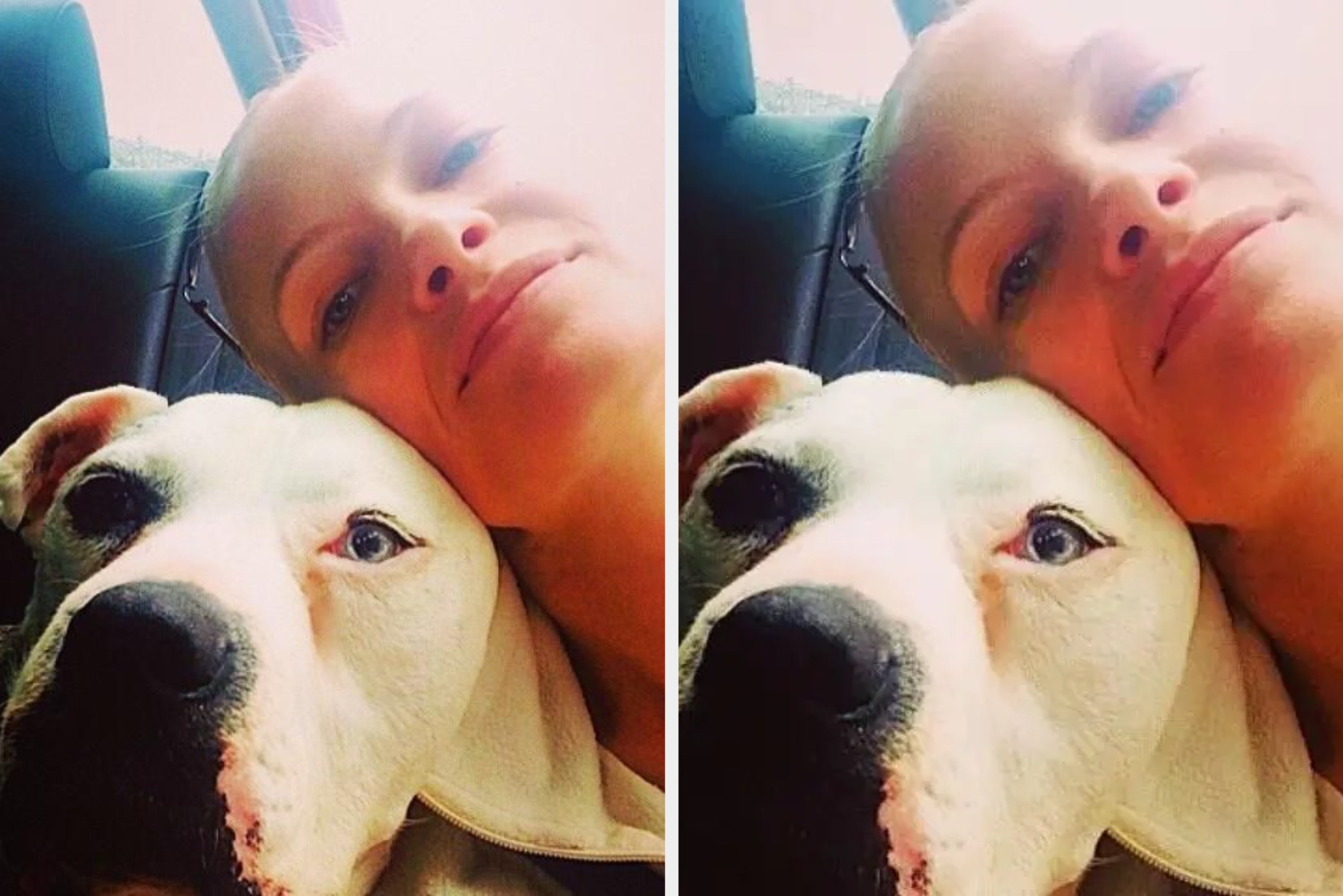 Person and a dog cuddling in a car, both looking content. The person's head rests gently against the dog's. Romantic and affectionate vibe