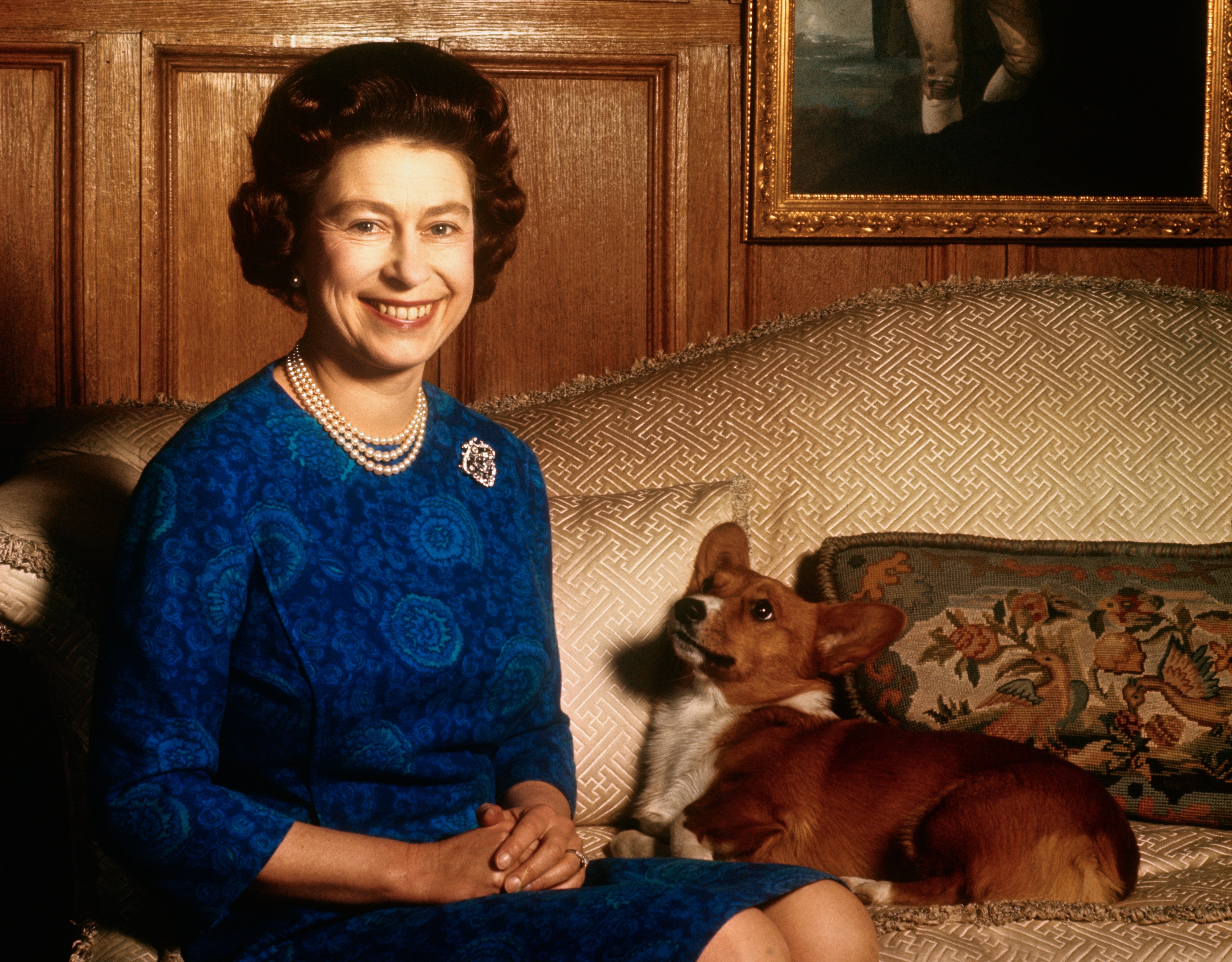 A woman in a formal dress sits on a sofa beside a corgi. A framed picture is on the wall behind them