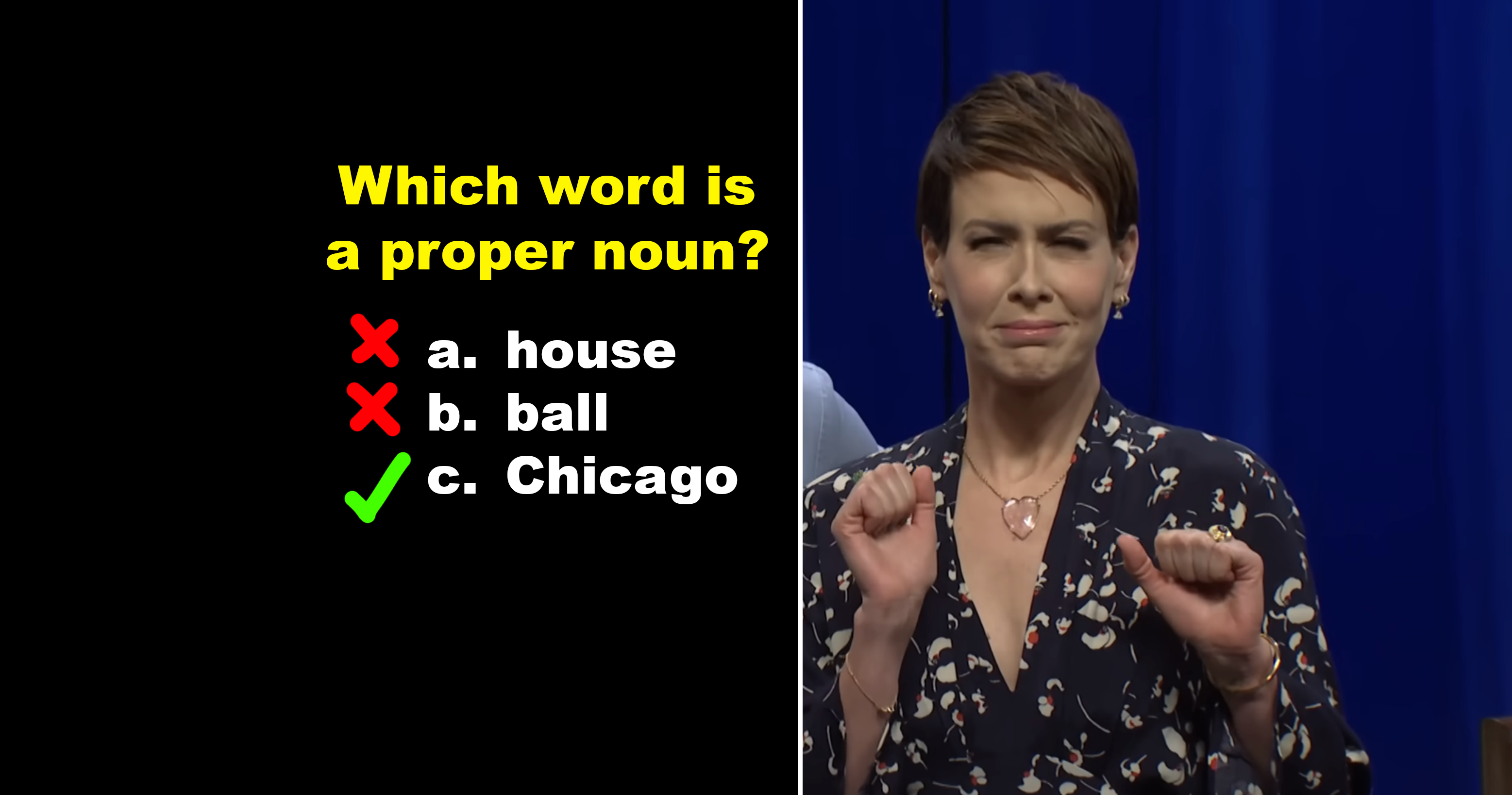 Woman in patterned dress with short hair making a satisfied expression. The text asks which word is a proper noun; the answer is "c. Chicago."