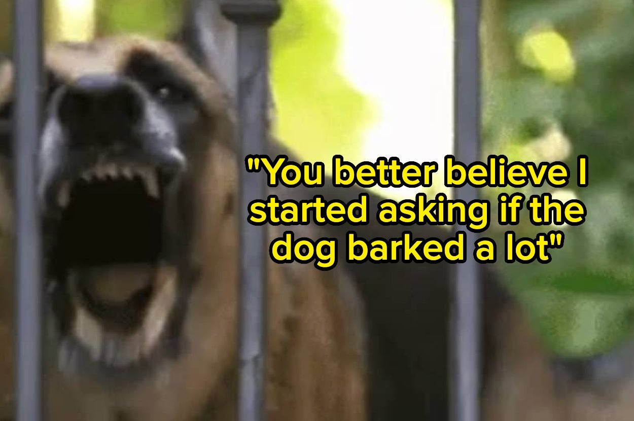 A dog behind a fence is barking, with overlaid text: "You better believe I started asking if the dog barked a lot."