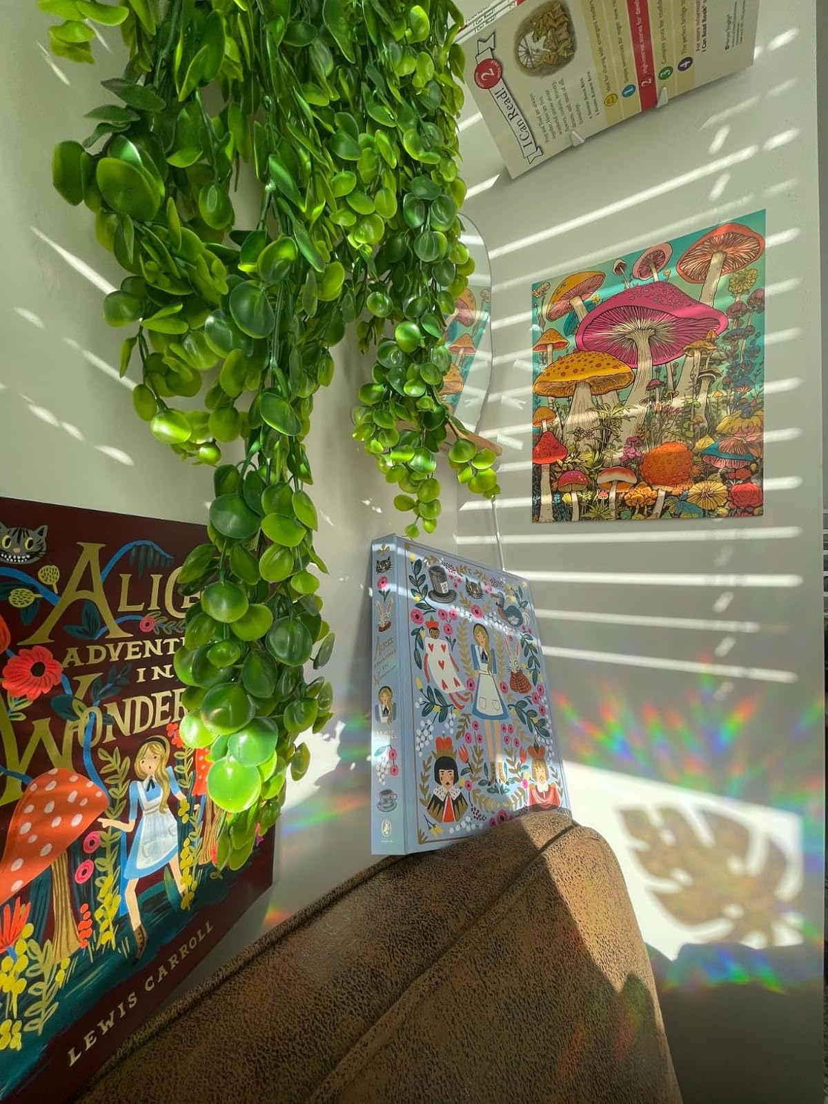 rainbows projected into room