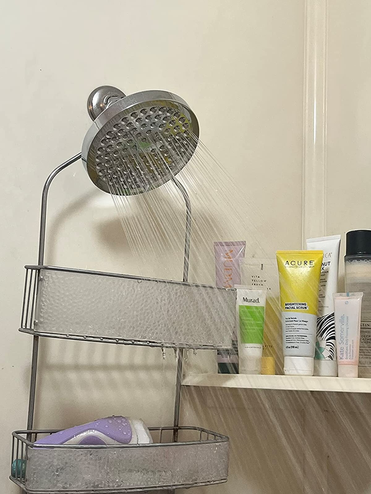 reviewer image of the round chrome shower head in a shower