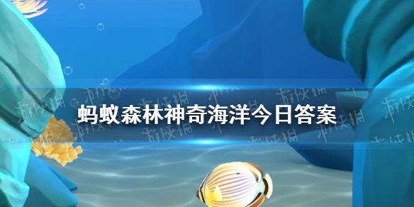 海葵主要通过什么方式进行移动 神奇海洋7月15日答案最新