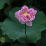 依然悠远的天空