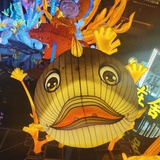 超级大大大鲸鱼