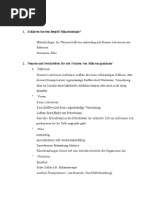 Anatomie Infektionslehre