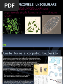 Organisme Unicelulare
