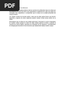 Conclusion de La Célula