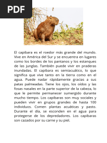 Texto Capibara