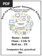 PDF Document