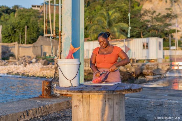 Sint Eustatius: landscapes and local life