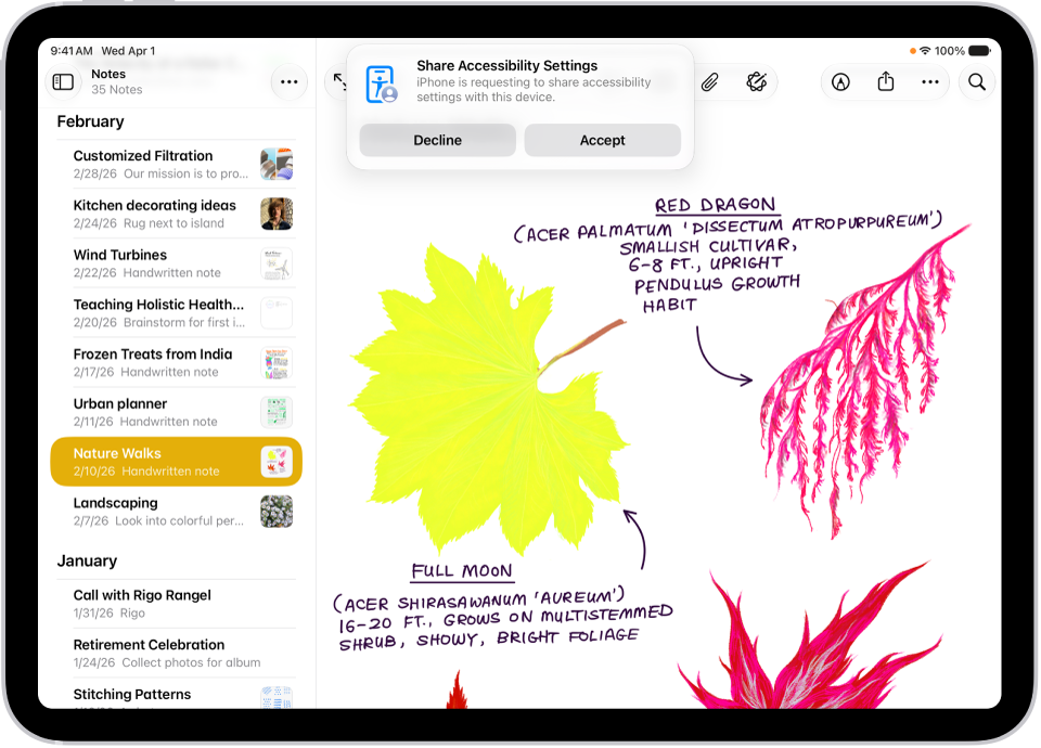 iPad يظهر به إشعار بأن iPhone رامي يطلب مشاركة إعدادات تسهيلات الاستخدام.