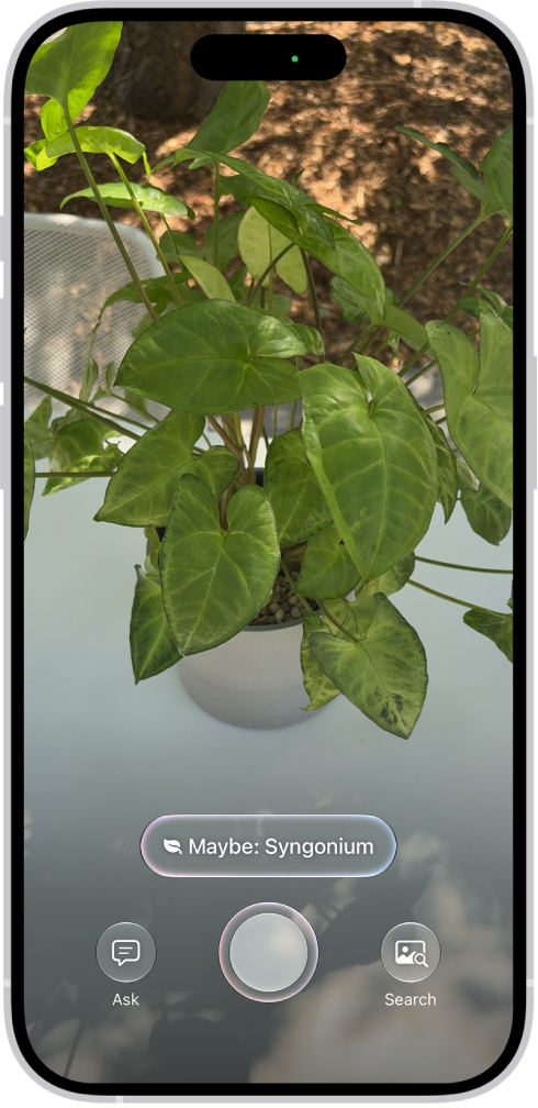 Visual Intelligence kuvab iPhone’is taime.