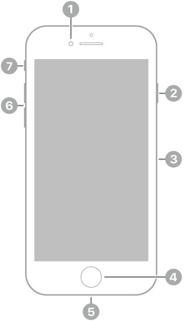 Pogled na iPhone&nbsp;SE (3. generacija) od spredaj. Sprednja kamera je na vrhu, levo od zvočnika. Na desni strani so od spodaj navzgor stranski gumb in pladenj kartice SIM. Gumb Domov je na spodaj na sredini. Priključek Lightning je na spodnjem robu. Na levi strani, so od spodaj navzgor gumba za glasnost in stikalo Zvonjenje/Tiho.