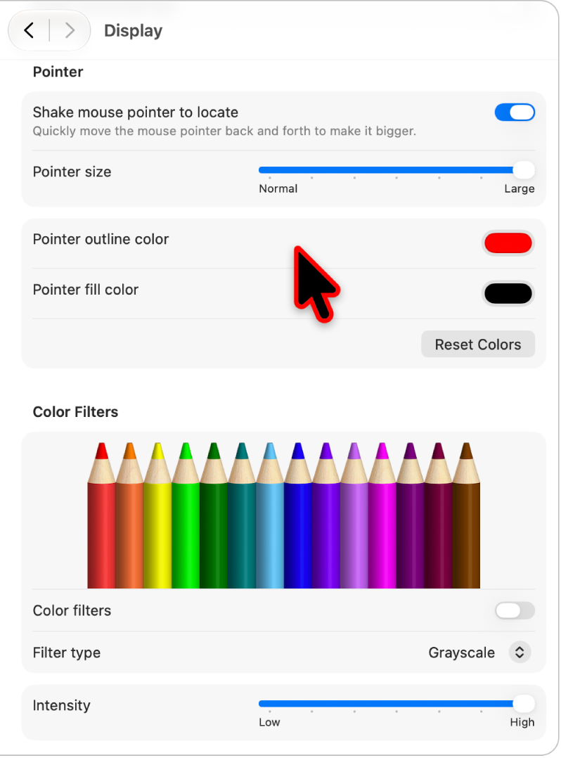 Panel de ajustes Pantalla de Accesibilidad que muestra un puntero grande con un contorno de color personalizado.