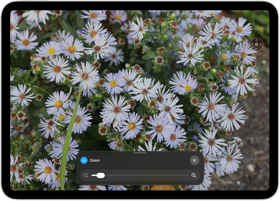 An iPad showing a zoomed in image of white flowers.