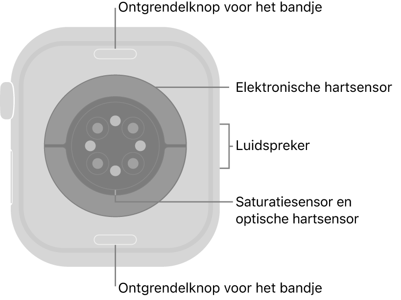 De achterkant van de Apple&nbsp;Watch Series&nbsp;10, met aan de boven- en onderkant de ontgrendelknoppen van het bandje, in het midden de elektrische hartsensoren, de optische hartsensoren en de saturatiesensoren, en aan de zijkant de luidspreker.
