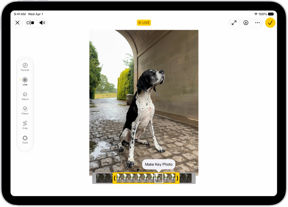 Une Live&nbsp;Photo se trouve au centre de l’écran Modifier dans l’app Photos. Le visualiseur d’image se trouve en bas de la vidéo et un contour jaune entoure les images sélectionnées à inclure dans la Live Photo modifiée&nbsp;; une seule image est sélectionnée pour créer la photo principale. Les outils de modification se trouvent sur le côté gauche de l’écran&nbsp;: de haut en bas, Live&nbsp;Photo, Ajuster, Filtres et Recadrer. «&nbsp;Live&nbsp;Photo&nbsp;» est sélectionné.